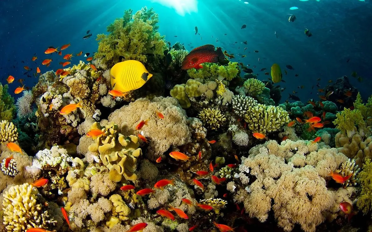 In time for Conscious Education — feature image